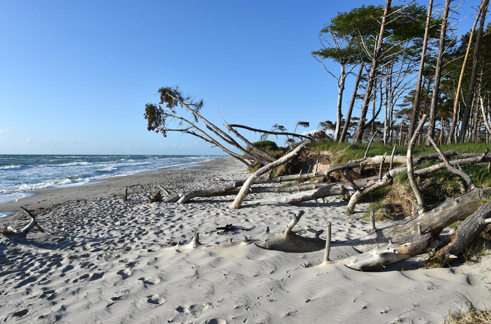 Meeresbrise Im Ostseeheilbad Zingst Exterior foto